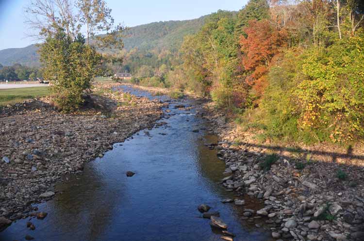 stream and fall trees